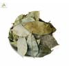 East Java Freshly Dried Soursop Leaves (Annona Muricata) 400 Leaves view 3