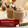 Hoosier Hill Farm Mini Dehydrated Marshmallows, 1LB (Pack of 1) view 3