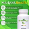 NutriGout Uric Acid Cleanse Supplement w/Turmeric, Celery Seed, Bromelain, Milk Thistle, Dandelion and Chanca Piedra, 60 Vegetarian Capsules of 500 mg Each view 2