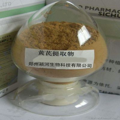 Astragalus Root Herbs Extract Powder 500 Grams (1.1 lb) "Immune System" Polysaccharide >50%
