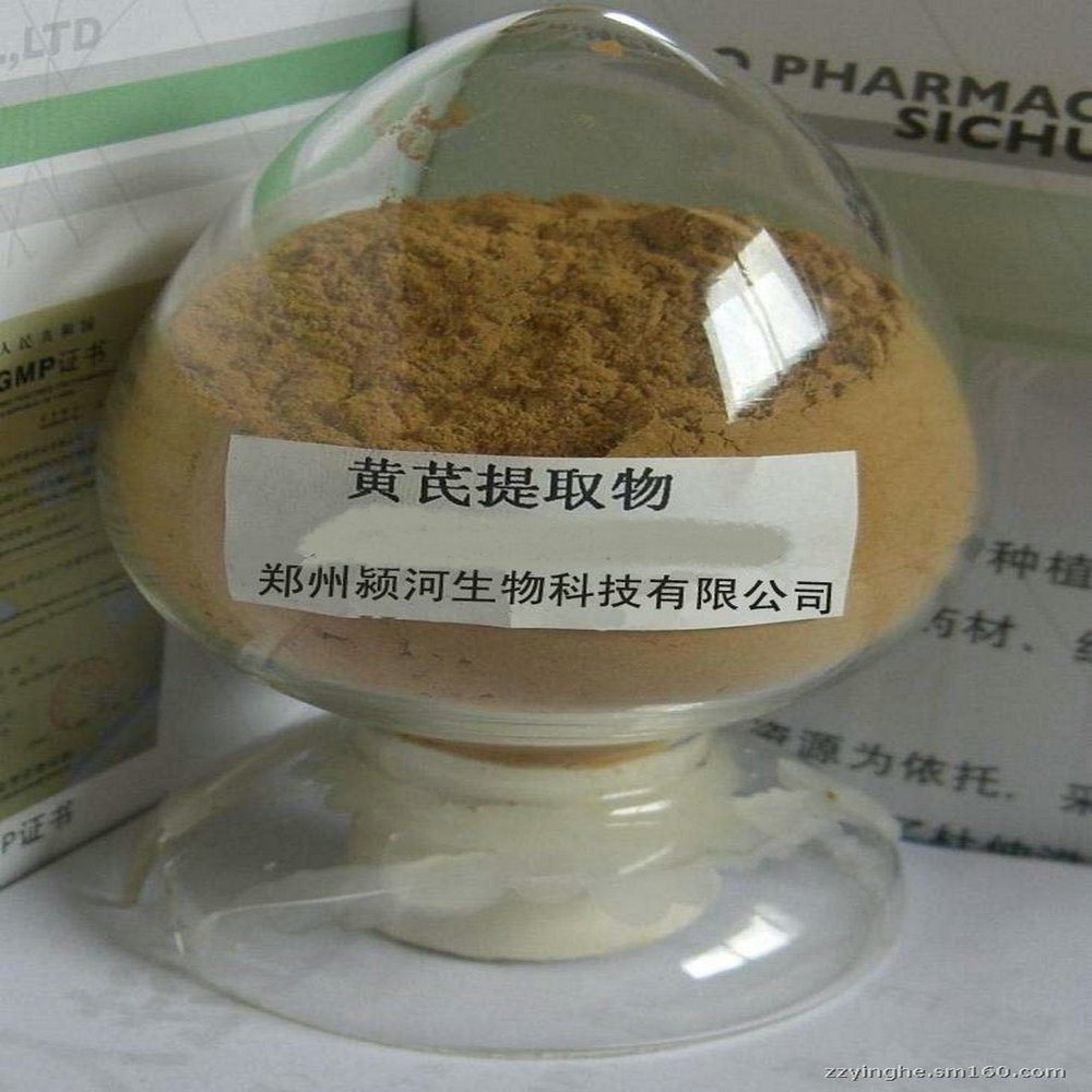 Astragalus Root Herbs Extract Powder 500 Grams (1.1 lb) "Immune System" Polysaccharide >50%
