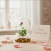 Bloomify Live Rose Terrarium, Miniature Rose in Self Sustaining Glass Jar, Maintenance Free, Great Unique Gift and Home Decor. view 2