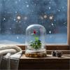 Bloomify Live Rose Terrarium, Miniature Rose in Self Sustaining Glass Jar, Maintenance Free, Great Unique Gift and Home Decor. view 3