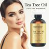 First Botany, 100% Pure Australian Tea Tree Essential Oil with high conc. of Terpinen - A Known Solution to Help in Fighting Acne, Toenail Issues, Dandruff. (1 fl oz) view 3