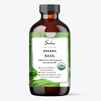 100% Pure and Certified Organic Basil Essential Oil (16 fl.oz / 453 ml)