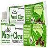 Kudos Neem + Clove Toothpaste 100g view 2