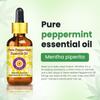 dve herbes Peppermint Essential Oil (Mentha piperita) Pure | Non-Sticky | Non-Greasy | Lightweight | Men & Women | All Skin Types | Steam Distilled 30ml (1 oz) view 3