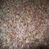 Whole Oat Groats: Raw Hulless Oats, Farmer Direct 15 lbs. (Clear Poly Plastic Bag (Organic)) view 1