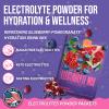 Dr. Prices Electrolytes Hydration Powder Packets  Blueberry Pomegranate, 30 Packs | Sugar Free Electrolyte Drink Mix, 72+ Trace Minerals, Manganese | Keto, Vegan, Doctor-Formulated, Made in USA view 3