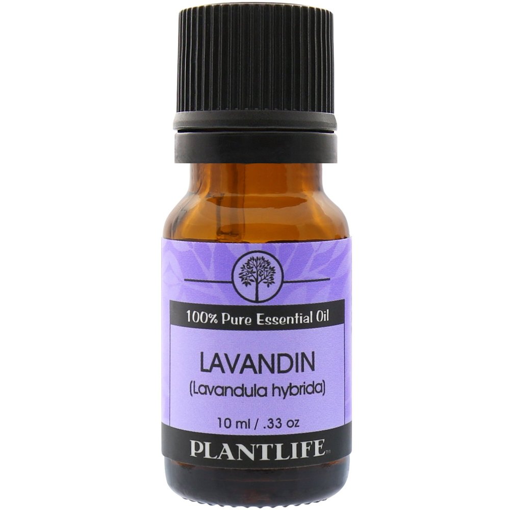 Plantlife Lavandin Aromatherapy Essential Oil - Straight from The Plant 100% Pure Therapeutic Grade - No Additives or Fillers - 10 ml