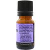 Plantlife Lavandin Aromatherapy Essential Oil - Straight from The Plant 100% Pure Therapeutic Grade - No Additives or Fillers - 10 ml view 4