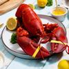 Maine Lobster Now: The Classic Clambake view 2