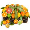 A Gift Inside Sweet Sunshine Citrus Basket for Lunar New Year, Thank You, Birthday, Get Well view 1