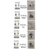 Angzhili 10 Bag Dental Orthodontic Rubber Bands,Elastic Rubber Bands,Orthodontic Supply 3.5 Oz (3/16") view 3