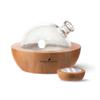 Young Living Essential Oils Aria Ultrasonic Diffuser - Ambience at Home & Spa - Peppermint Oil - Music Tranquil Environment - Room Decor - Humidifier - Diffuser - view 1