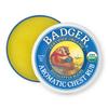 Badger Aromatic Chest Rub, Eucalyptus & Mint, 2 oz view 1
