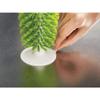Joseph Joseph Brush-Up Glass Brush with Suction Cup Upright Stays in Sink Bristle Scrub Kitchen Bottle Cleaning Washing, Green view 3