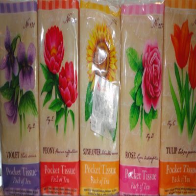 CT Shops Springtime Pocket Tissue~pack of 10