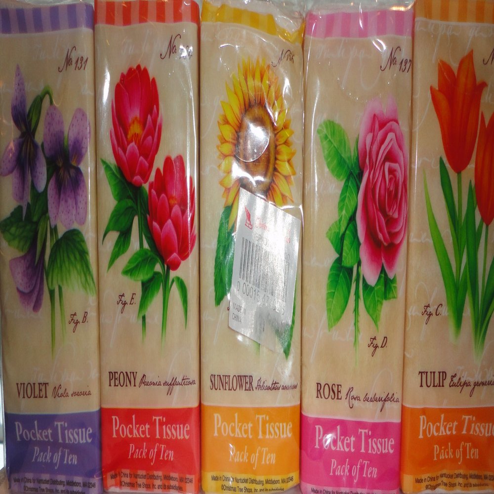 CT Shops Springtime Pocket Tissue~pack of 10