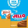 Jell-O Instant Pudding & Pie Filling Mix, Butterscotch Flavored, Sugar Free, Fat Free, Reduced Calorie Dessert Mix for Pies & No-Bake Recipes, 1 oz (Pack of 6) view 4