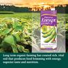Eden Organic EdenSoy Extra Soymilk Original, 32 fl oz view 3