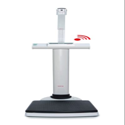 seca 703 High Capacity Column Scale with Wireless Transmission