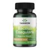 Swanson Bacillus Coagulans - Natural Probiotic Supplement Supporting Digestive Health w/ 6 Billion CFU - May Support GI & Overall Gut Health - (60 Veggie Capsules) view 1
