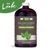 Nature's Way Chlorofresh Liquid Chlorophyll Internal Deodorant 16 Fluid Ounces, Mint Flavor, Pack of 2 view 3