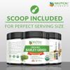 Barley Grass Powder - USDA Certified Organic Barley Grass Powder - Non-GMO, Vegan, and Non-Irradiated - Rich In Antioxidants, Protein, Fiber, Minerals, Chlorophyll, Amino Acids and Protein - 200 Grams view 3