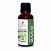 Guava Seed Oil -(Psidium Guajava)- Carrier Oil 100% Pure Natural Undiluted Uncut Therapeutic Grade Oil 1.69 Fl.OZ view 1