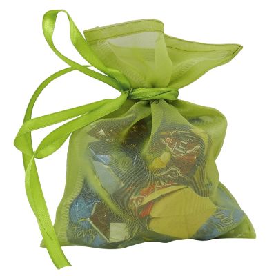 Darling Souvenir 50 Organza Drawstring Gift Pouch Small Wedding Party Favors Bag 4 x 6.5 inches Baby Shower Thank You Pouches- Green