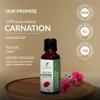 Carnation Oil -(Dianthus Caryophyllus)- Essential Oil 100% Pure Natural Undiluted Uncut Therapeutic Grade Oil 1.69 Fl.OZ view 3