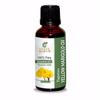 Yellow Marigold Oil -(Tagetes)- Essential Oil 100% Pure Natural Undiluted Uncut Therapeutic Grade Oil 0.16 Fl.OZ view 1
