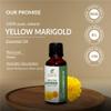 Yellow Marigold Oil -(Tagetes)- Essential Oil 100% Pure Natural Undiluted Uncut Therapeutic Grade Oil 0.16 Fl.OZ view 3