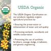 Fresh Roasted Coffee, Organic Dark Mexican | Mold & Myco 3rd Party Tested, USDA Organic, Kosher | Dark Roast 72 Pods for K Cup Brewers view 4