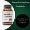 Barlowe's Herbal Elixirs Kaempferia Parviflora Supplement | Black Ginger | 600mg | 60 Veggie Capsules | Supports Vitality, and Promotes Overall Wellness | Stearate Free view 3