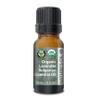 10ml Best Lavender Essential Oil Pure Certified Organic Therapeutic Grade view 1