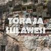 Toraja Sulawesi White Eagle Coffee, Fair Trade, Whole Bean, Fresh Roasted, 16-ounce view 2
