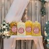 4 Flavor Gourmet Popcorn Assortment 8 Gal. (128 Cups) Large Sampler - White, Caramel, Cheese, and Rainbow Bulk Popped view 2