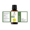 CANOLA Oil 100% Pure Undiluted Natural Uncut Therapeutic Grade Cold Pressed Carrier Oils for Skin, Hair and Aromatherapy 5000ML view 2