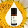 Plant Therapy Roman Chamomile Essential Oil 5 mL (1/6 oz) 100% Pure, Undiluted, Natural Aromatherapy for Relaxation and Stress Relief view 3