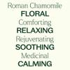 Plant Therapy Roman Chamomile Essential Oil 5 mL (1/6 oz) 100% Pure, Undiluted, Natural Aromatherapy for Relaxation and Stress Relief view 4