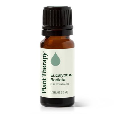 Plant Therapy Eucalyptus Radiata Essential Oil 10 mL (1/3 oz), 100% Pure, Undiluted, for Aromatherapy, Respiratory Support & Focus