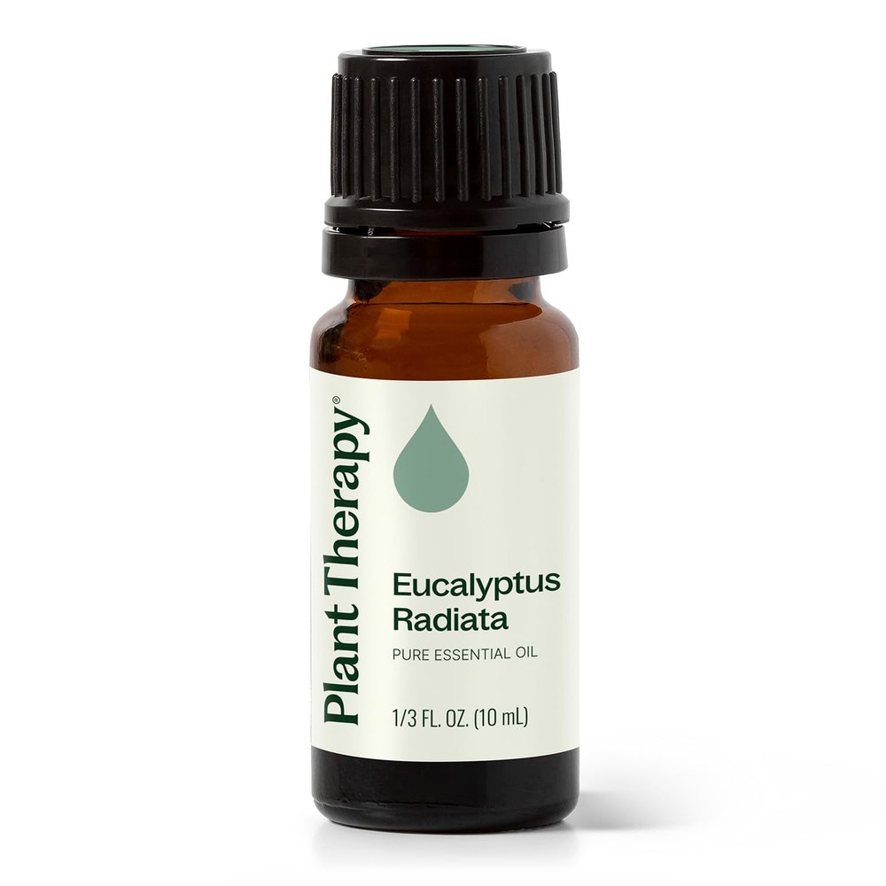 Plant Therapy Eucalyptus Radiata Essential Oil 10 mL (1/3 oz), 100% Pure, Undiluted, for Aromatherapy, Respiratory Support & Focus