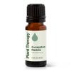 Plant Therapy Eucalyptus Radiata Essential Oil 10 mL (1/3 oz), 100% Pure, Undiluted, for Aromatherapy, Respiratory Support & Focus view 1