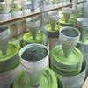 100% USDA/JAS Organic Matcha Powder - Cafe Grade (50g) view 3