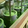100% USDA/JAS Organic Matcha Powder - Ceremonial Grade (Mana) view 4