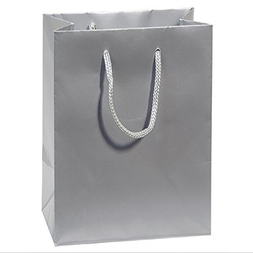 6.5 x 3.5 x 6.5" Silver Gloss Gift Shopping Bags (100 Bags)