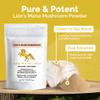 Addictive Wellness Lions Mane Supplement Powder, Premium Quality Lions Mane Mushroom Powder Dual-Extract Nootropic, Sugar Free, Vegan & Paleo Friendly Lion's Mane Mushroom Supplement - 1500 mg view 2