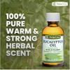 De La Cruz Eucalyptus Essential Oil Aromatherapy for Diffuser or Humidifier, 100% Pure Steam Distilled Eucalyptus Globulus 2 FL OZ (5 Bottles) view 2